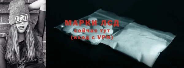 ГАЛЛЮЦИНОГЕННЫЕ ГРИБЫ Бородино