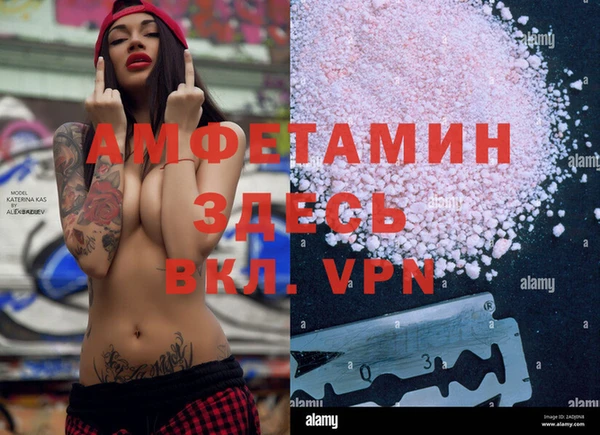 ГАЛЛЮЦИНОГЕННЫЕ ГРИБЫ Бородино