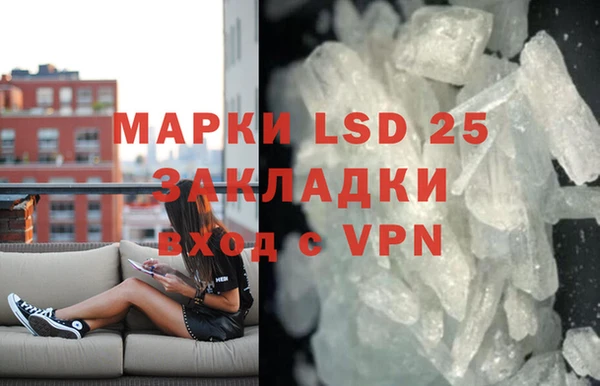 ГАЛЛЮЦИНОГЕННЫЕ ГРИБЫ Бородино