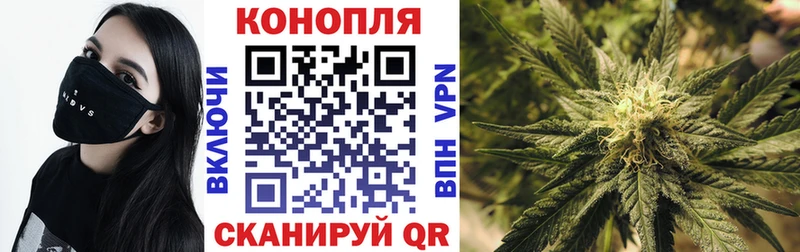 Бошки марихуана SATIVA & INDICA  цена   Комсомольск 